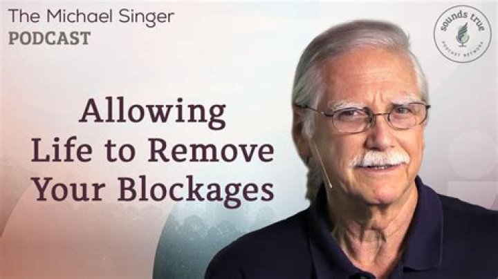 Michael Singer Net Worth