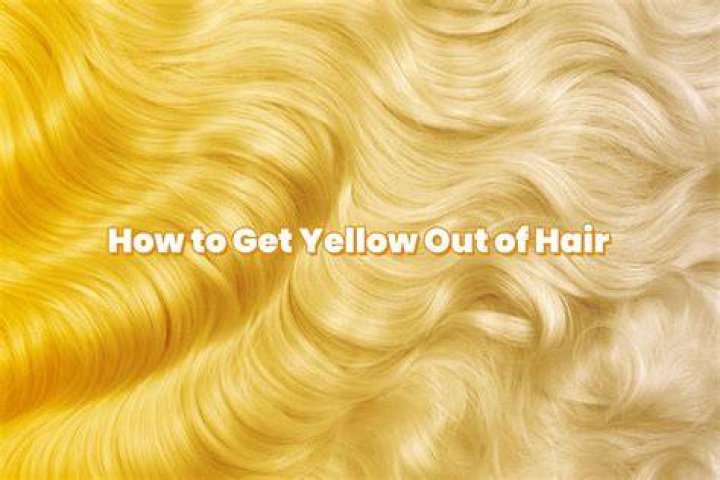 Milo Yellow Hair Net Worth