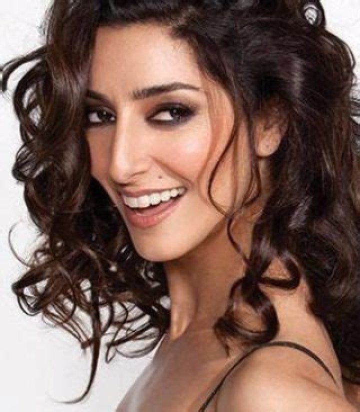 Necar Zadegan Net Worth