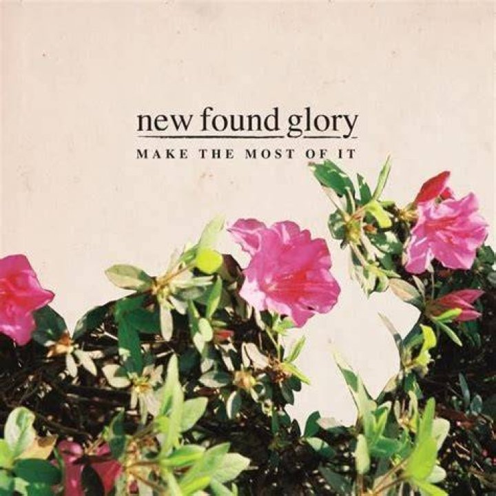 New Found Glory Net Worth