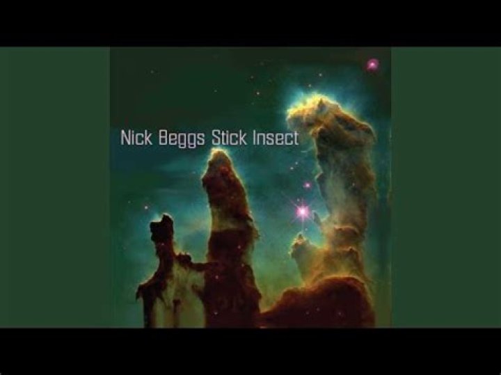 Nick Beggs Net Worth