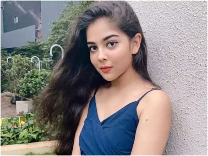 Niharika Desai Net Worth