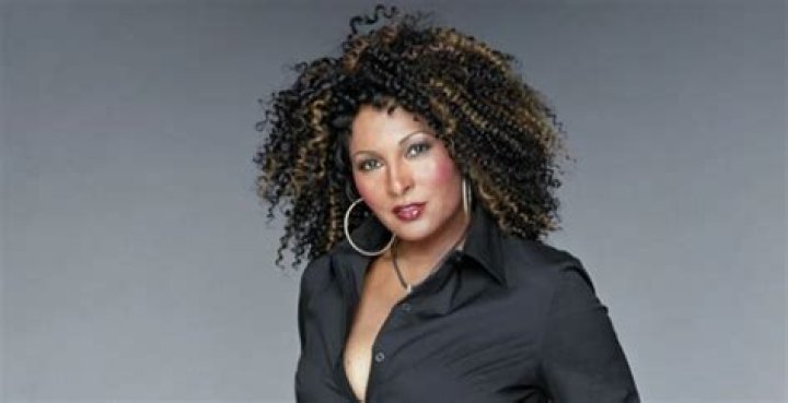 Pam Grier Net Worth