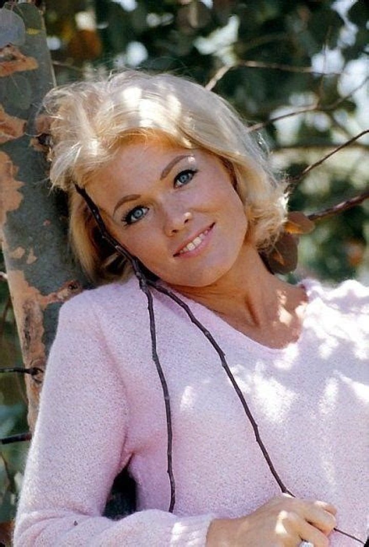 Pat Priest Net Worth