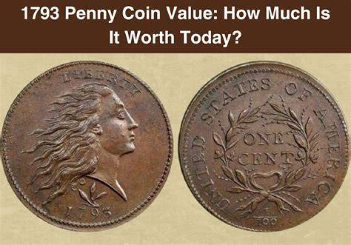 Penny Orloff Net Worth