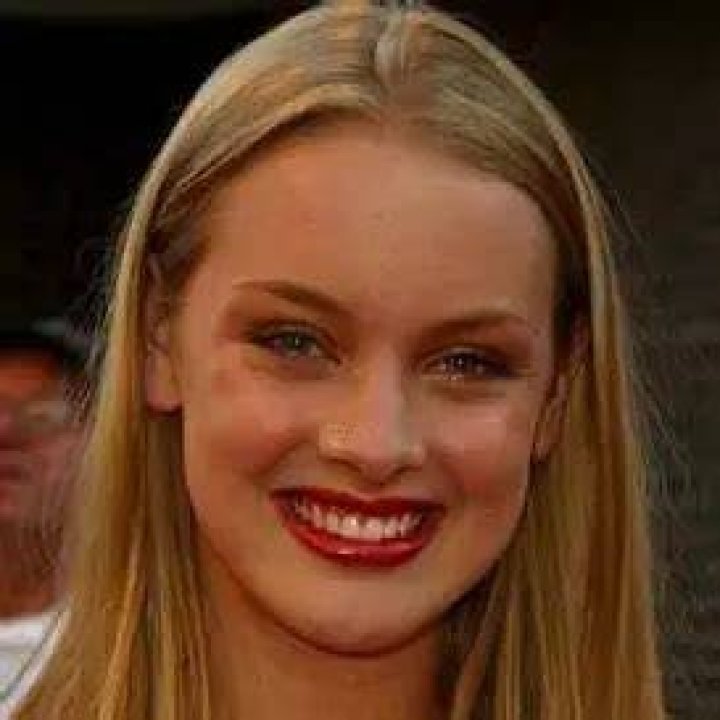 Rachel Skarsten Net Worth