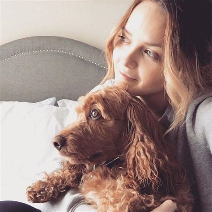 Rebecca Breeds Net Worth