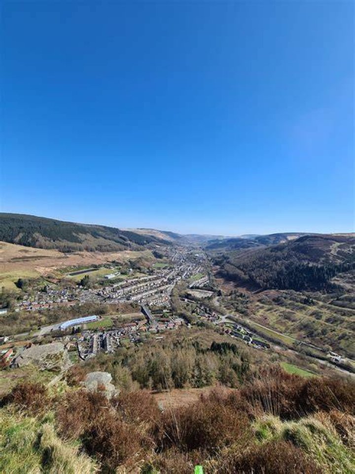 Rhondda Findleton Net Worth
