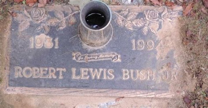 Robert Lewis Bush Net Worth