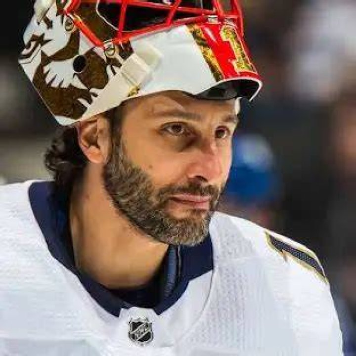 Roberto Luongo Net Worth