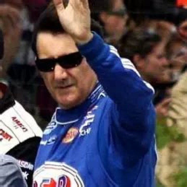 Ron Fellows Net Worth