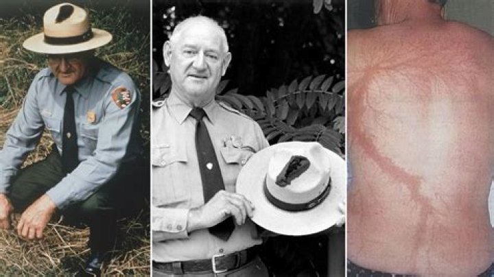Roy Sullivan Net Worth