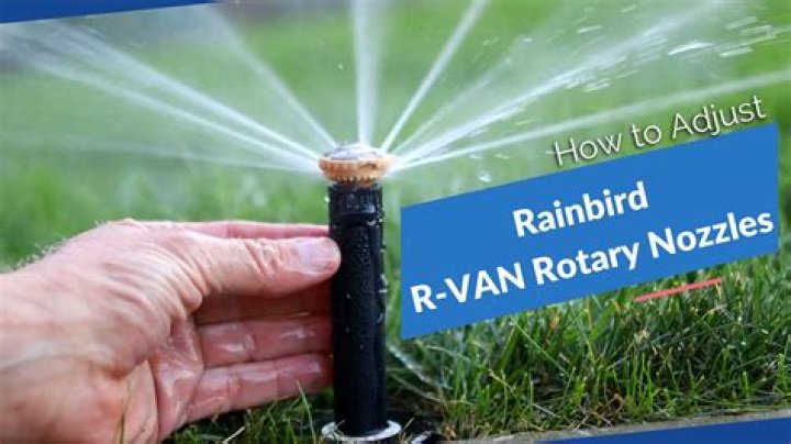 Sadhbh Rainbird - Net Worth 2018, Bio & Wiki