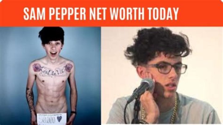 Sam Pepper Net Worth