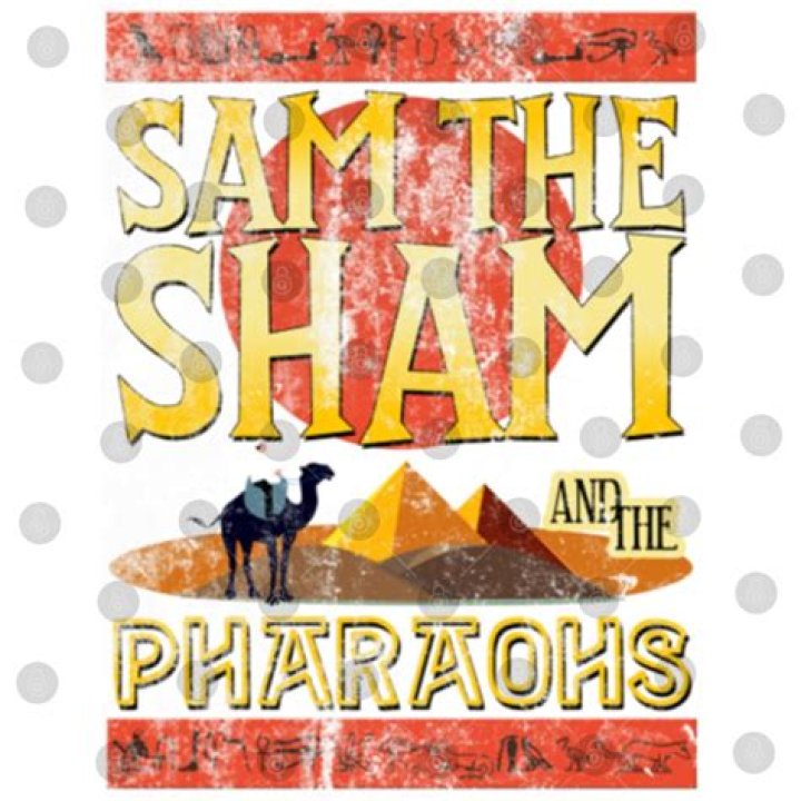Sam the Sham and The Pharaohs Net Worth