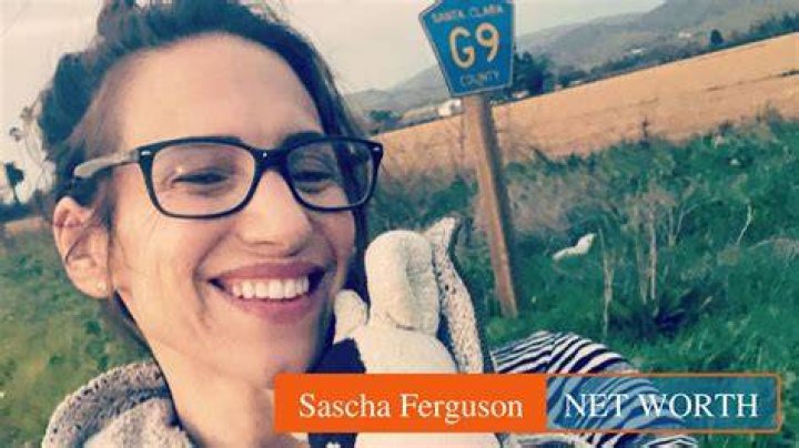 Sascha Segan Net Worth