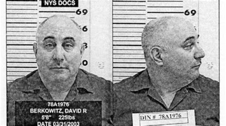 Seth Berkowitz Net Worth