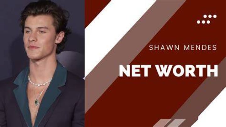 Shawn Valentino Net Worth