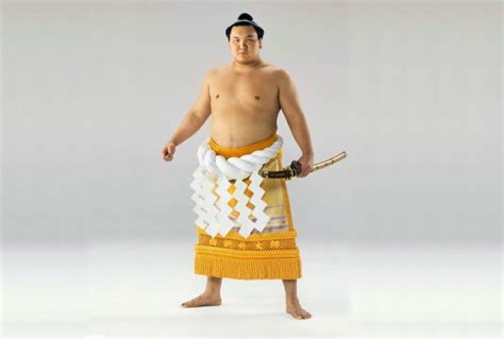 Shô Hakuhô Net Worth