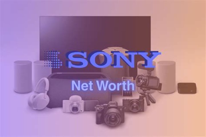 Sony Net Worth