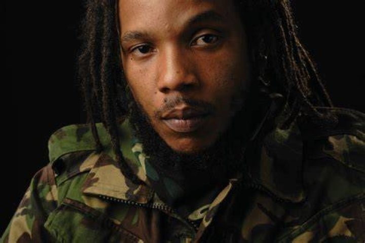 Stephen Marley Net Worth