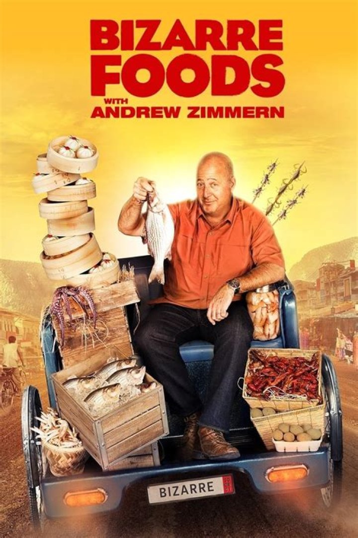 Terri Zimmern Net Worth