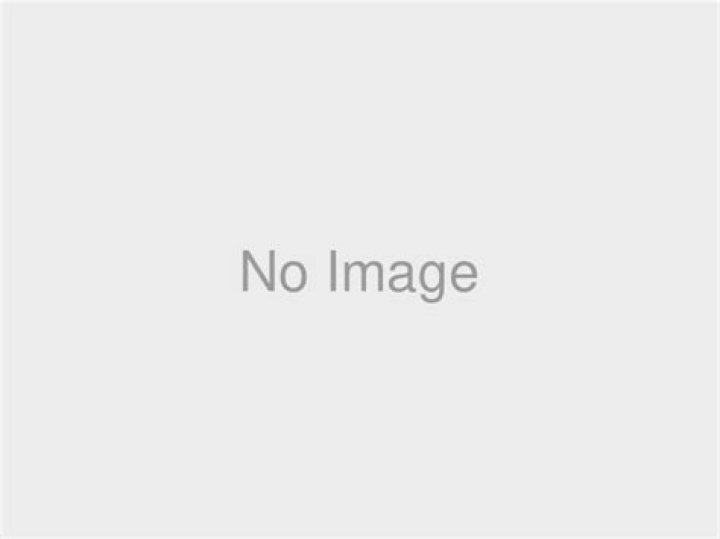 Tom Katt Net Worth