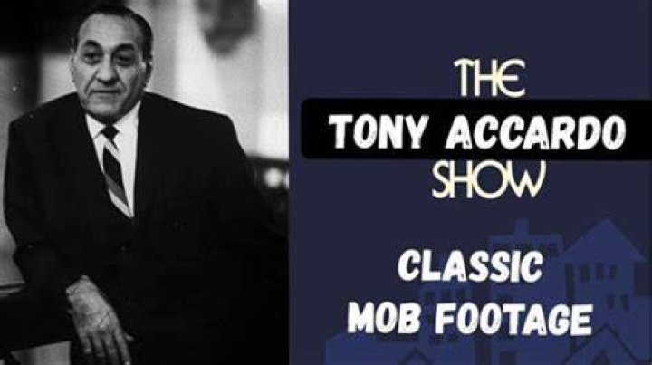 Tony Accardo Net Worth