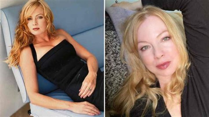 Traci Harrison Net Worth