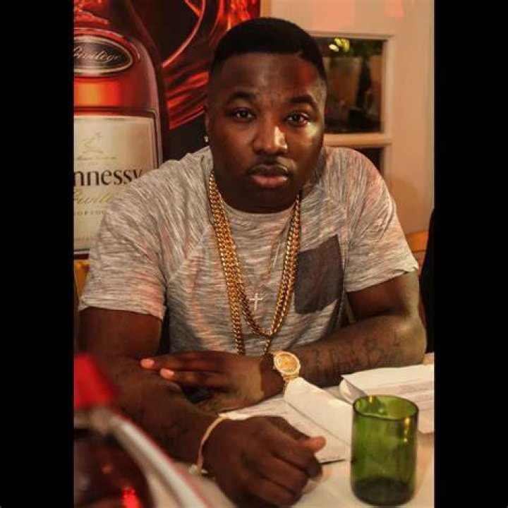 Troy Ave Net Worth