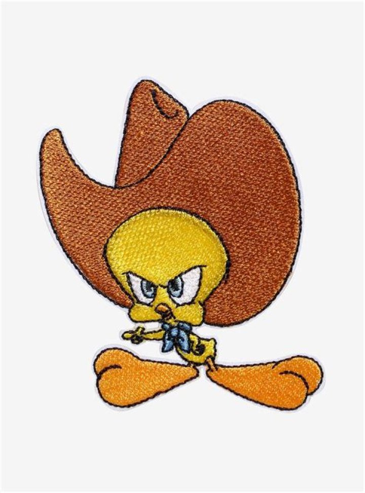 Tweety Net Worth