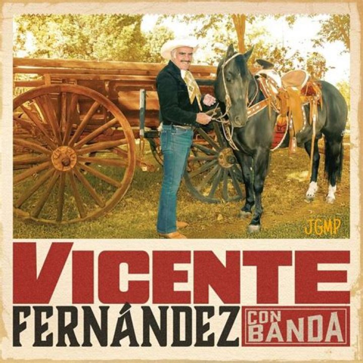 Vicente Tepedino Net Worth