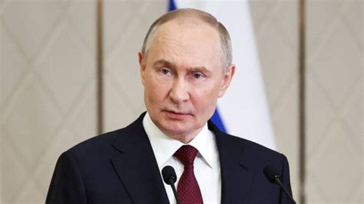 Vladimir Cvetko Net Worth