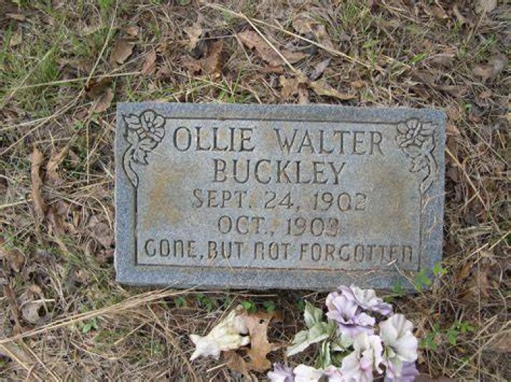 Walter Buckley Net Worth