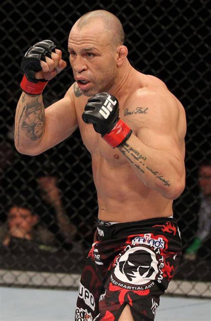 Wanderlei Silva Net Worth