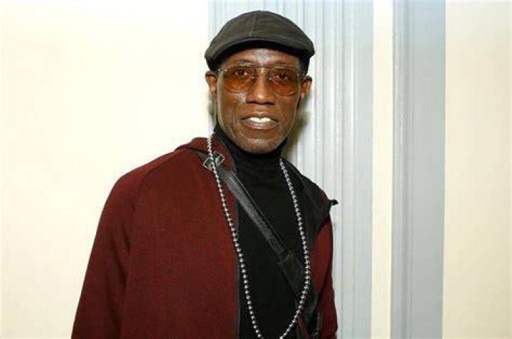 Wesley Snipes Net Worth