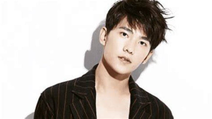 Yang Yang Net Worth