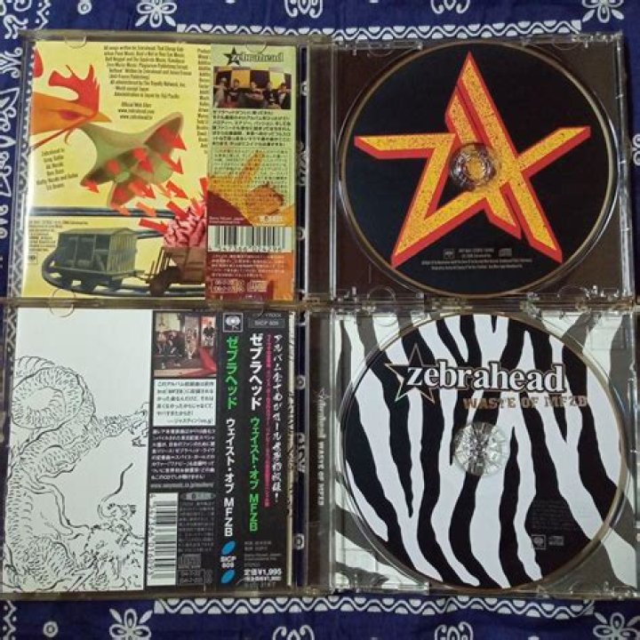 Zebrahead Net Worth