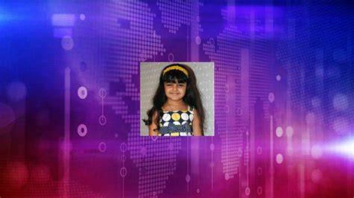 Ziyah Vastani Net Worth